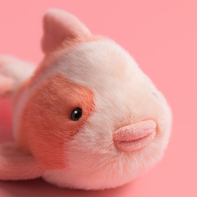 Fancy Carp, Jellycat – Image 3