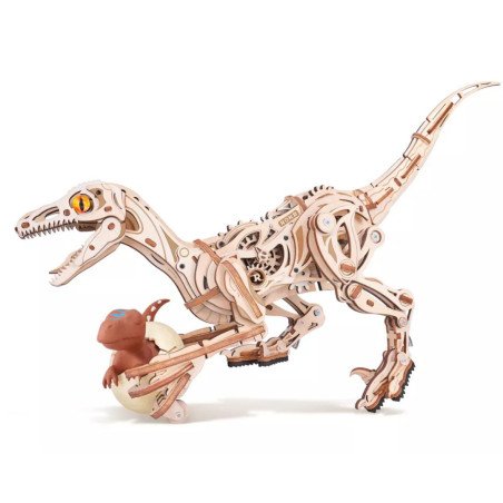 Vélociraptor – Puzzle 3D en Bois DIY, ROBOTIME