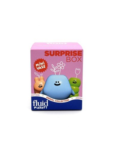 Boîte Surprise Mini Vase, Fluid Market