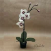 Orchidée Blanche en Pot en Feutrine, New Heidi