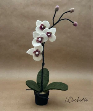 Orchidée Blanche en Pot en Feutrine, New Heidi