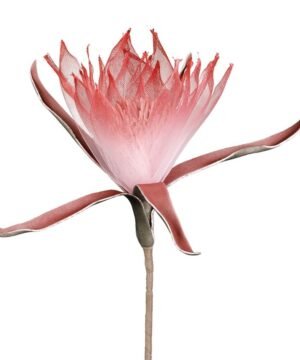 Alternative view of Fleur Acilia Fuchsia H65 cm, Yliades