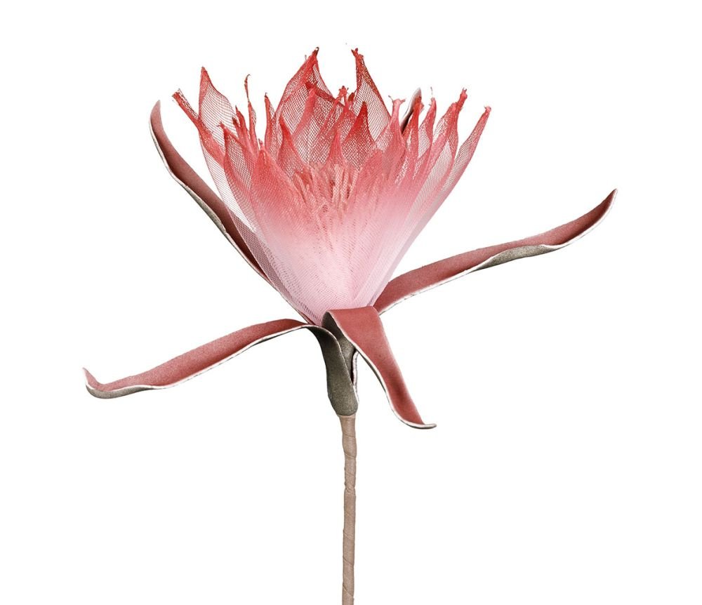 Fleur Acilia Fuchsia H65 cm, Yliades – Image 2