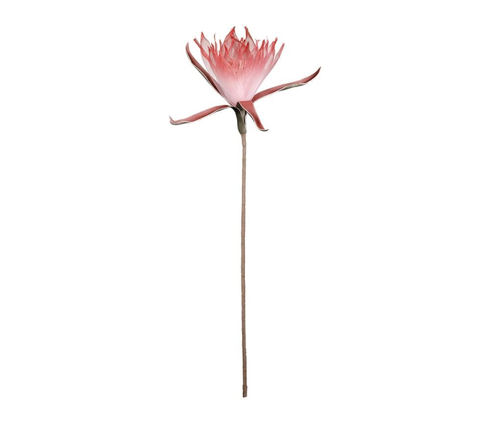 Fleur Acilia Fuchsia H65 cm, Yliades