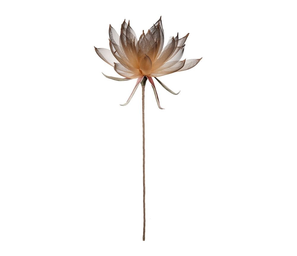 Fleur Dalry Brun H80 cm, Yliades