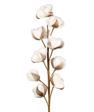 Fleur Gossypium Blanc Brun H92 cm, Yliades