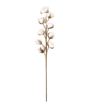 Fleur Gossypium Blanc Brun H92 cm, Yliades – Image 3