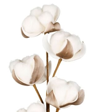 Alternative view of Fleur Gossypium Blanc Brun H92 cm, Yliades